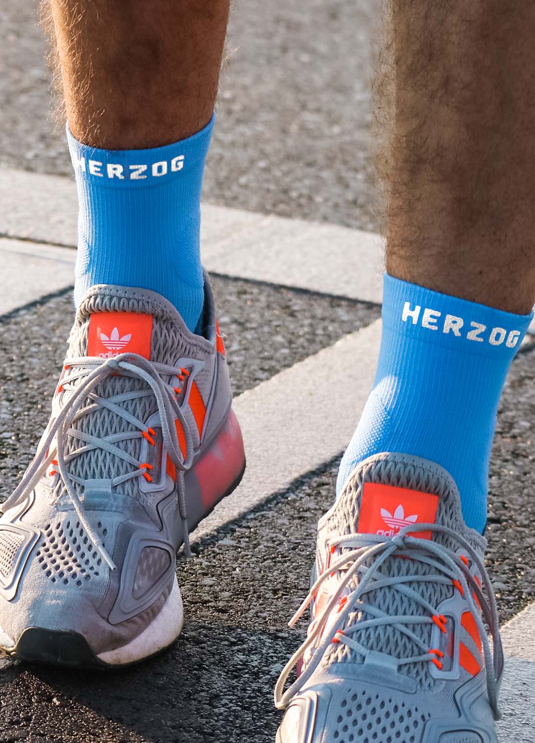 Herzog 4095 Ankle Compression Socks Blue